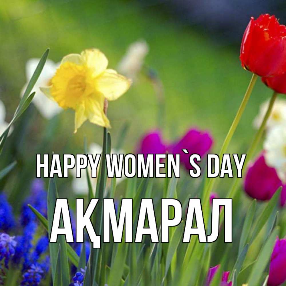 Greetings card с именем, АҚМАРАЛ happy women`s day международный женский день 3 Greetings with text for free download 